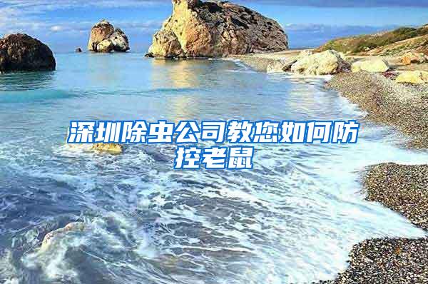 深圳除虫公司教您如何防控老鼠