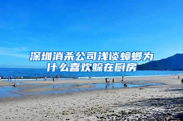 深圳消杀公司浅谈蟑螂为什么喜欢躲在厨房