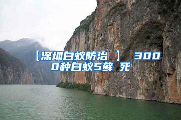 【深圳白蚁防治 】 3000种白蚁5藓θ死