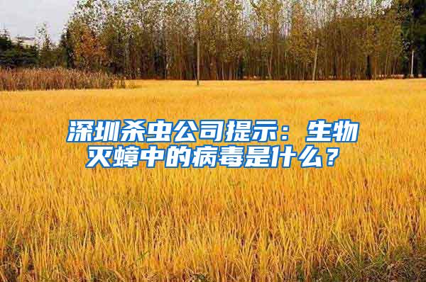 深圳杀虫公司提示：生物灭蟑中的病毒是什么？