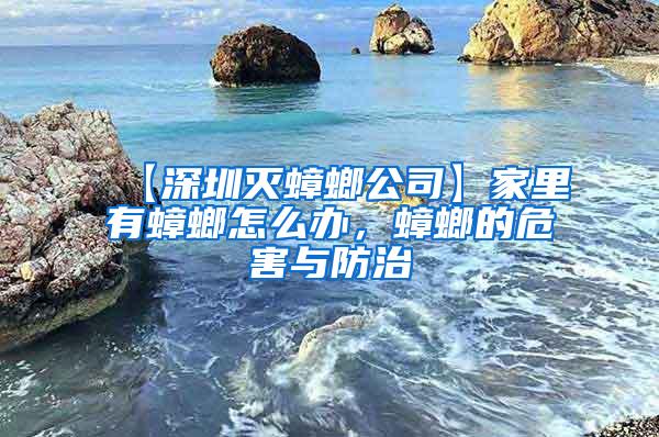 【深圳灭蟑螂公司】家里有蟑螂怎么办，蟑螂的危害与防治