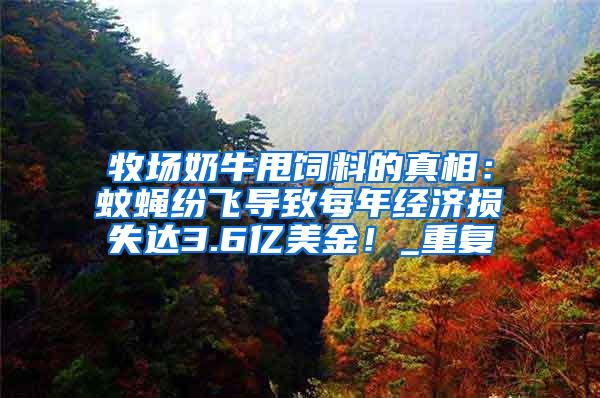 牧场奶牛甩饲料的真相：蚊蝇纷飞导致每年经济损失达3.6亿美金！_重复