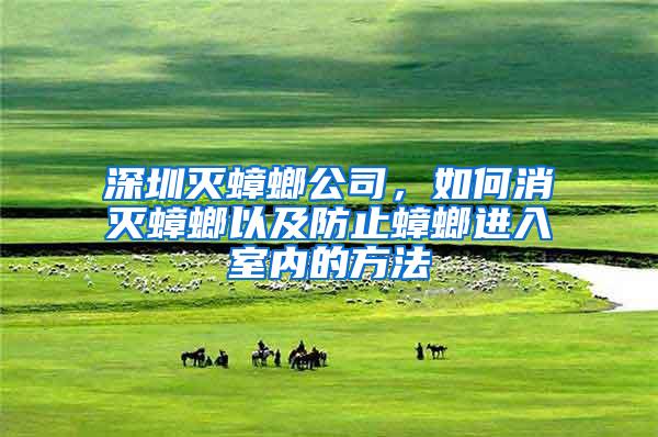 深圳灭蟑螂公司，如何消灭蟑螂以及防止蟑螂进入室内的方法
