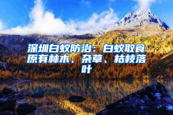 深圳白蚁防治：白蚁取食原有林木、杂草、枯枝落叶