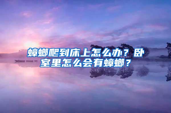 蟑螂爬到床上怎么办？卧室里怎么会有蟑螂？