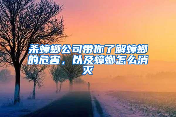 杀蟑螂公司带你了解蟑螂的危害，以及蟑螂怎么消灭