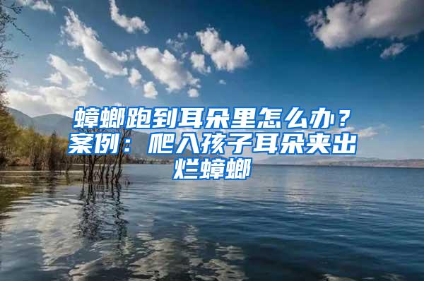 蟑螂跑到耳朵里怎么办？案例：爬入孩子耳朵夹出烂蟑螂