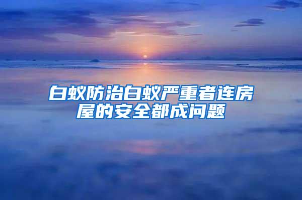 白蚁防治白蚁严重者连房屋的安全都成问题