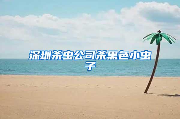 深圳杀虫公司杀黑色小虫子