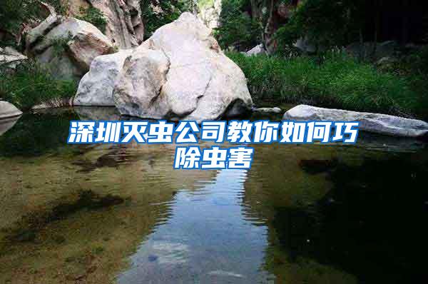 深圳灭虫公司教你如何巧除虫害