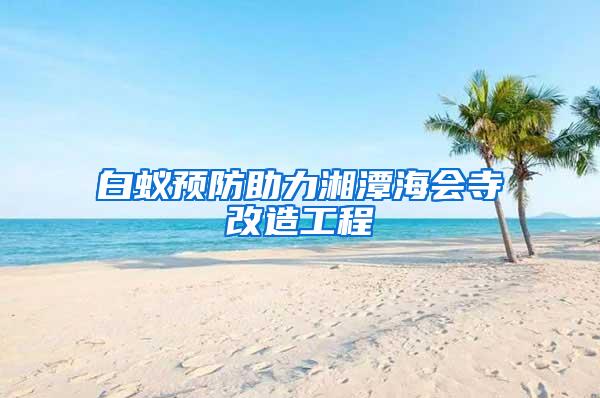 白蚁预防助力湘潭海会寺改造工程