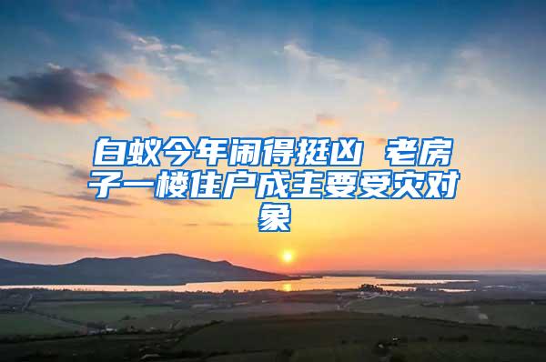 白蚁今年闹得挺凶 老房子一楼住户成主要受灾对象