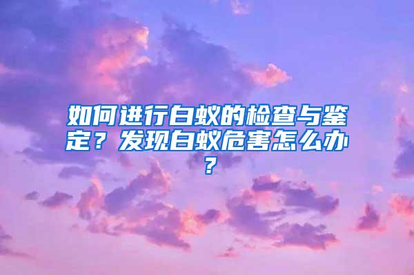 如何进行白蚁的检查与鉴定？发现白蚁危害怎么办？