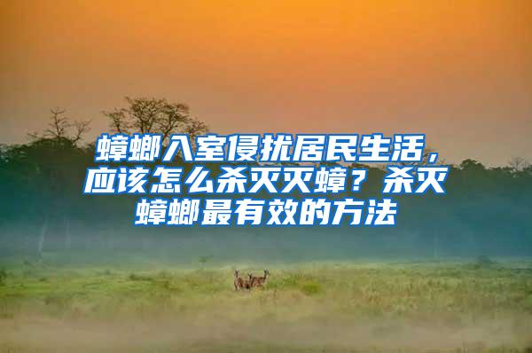 蟑螂入室侵扰居民生活，应该怎么杀灭灭蟑？杀灭蟑螂最有效的方法