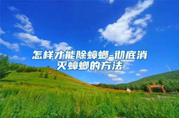 怎样才能除蟑螂-彻底消灭蟑螂的方法