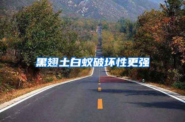黑翅土白蚁破坏性更强