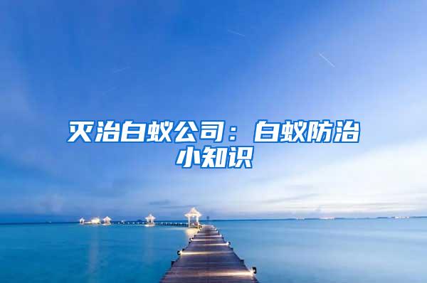 灭治白蚁公司：白蚁防治小知识