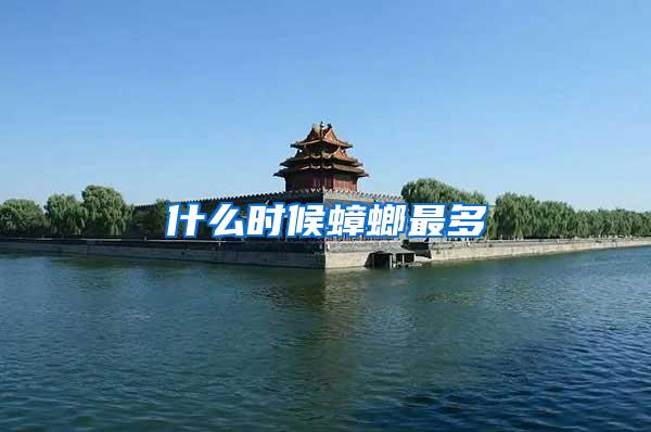 什么时候蟑螂最多