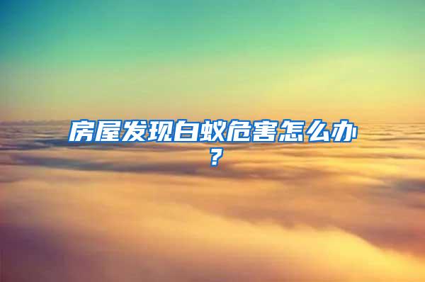 房屋发现白蚁危害怎么办？