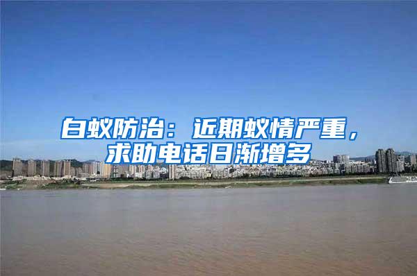 白蚁防治：近期蚁情严重，求助电话日渐增多