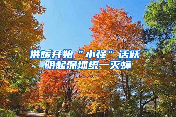 供暖开始“小强”活跃 明起深圳统一灭蟑