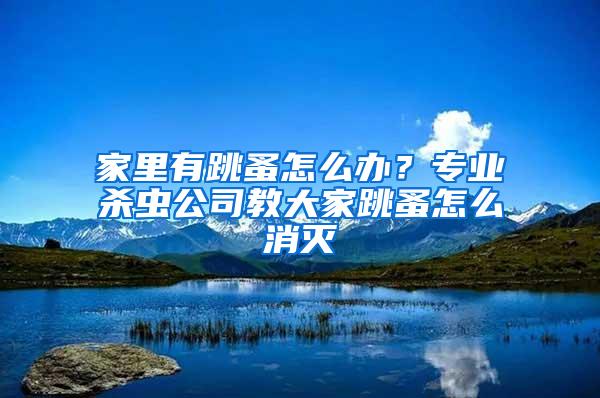 家里有跳蚤怎么办？专业杀虫公司教大家跳蚤怎么消灭