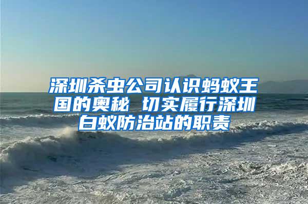 深圳杀虫公司认识蚂蚁王国的奥秘 切实履行深圳白蚁防治站的职责