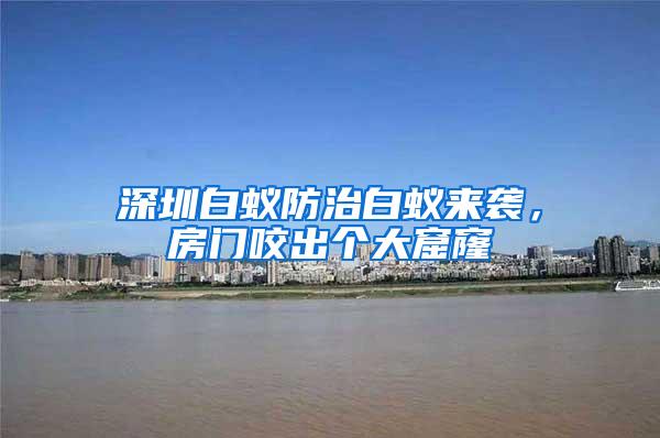 深圳白蚁防治白蚁来袭，房门咬出个大窟窿