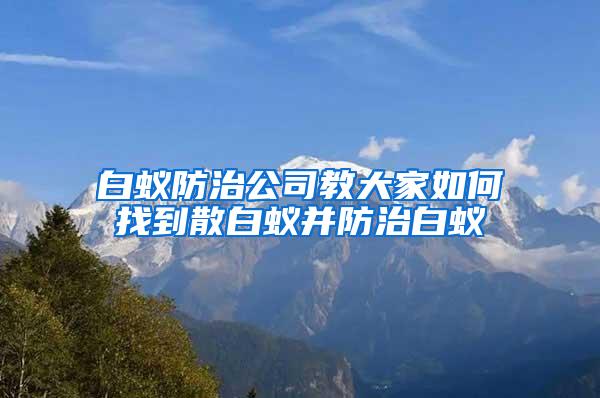 白蚁防治公司教大家如何找到散白蚁并防治白蚁