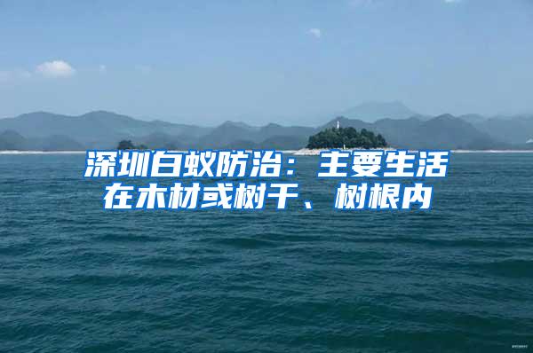 深圳白蚁防治：主要生活在木材或树干、树根内