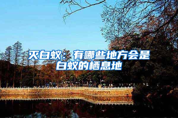 灭白蚁：有哪些地方会是白蚁的栖息地