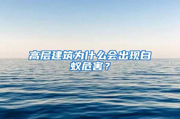 高层建筑为什么会出现白蚁危害？