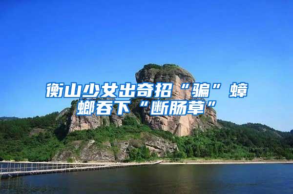 衡山少女出奇招“骗”蟑螂吞下“断肠草”