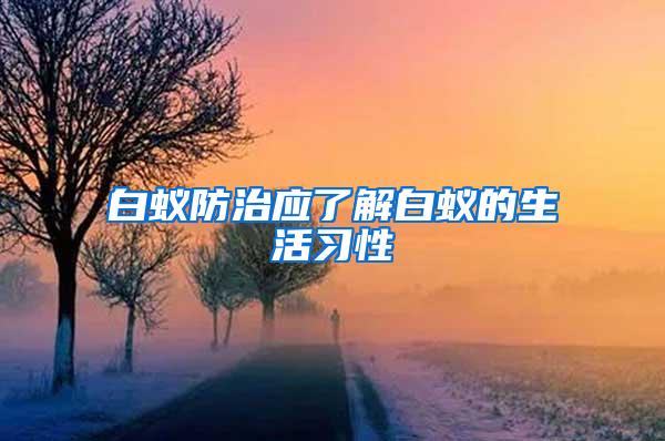 白蚁防治应了解白蚁的生活习性