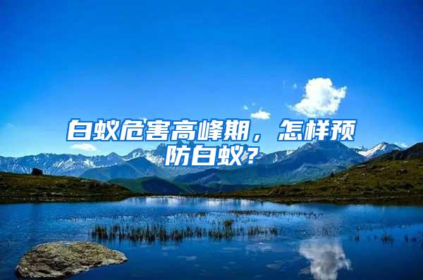 白蚁危害高峰期，怎样预防白蚁？