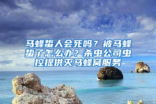 马蜂蜇人会死吗？被马蜂蛰了怎么办？杀虫公司虫控提供灭马蜂窝服务