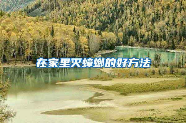 在家里灭蟑螂的好方法