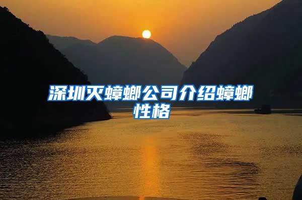 深圳灭蟑螂公司介绍蟑螂性格