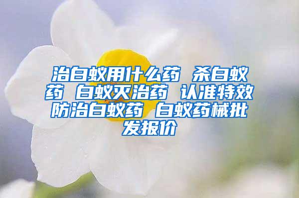 治白蚁用什么药 杀白蚁药 白蚁灭治药 认准特效防治白蚁药 白蚁药械批发报价