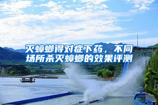 灭蟑螂得对症下药，不同场所杀灭蟑螂的效果评测