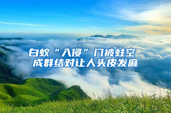 白蚁“入侵”门被蛀空 成群结对让人头皮发麻