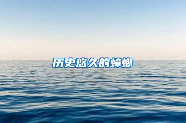 历史悠久的蟑螂