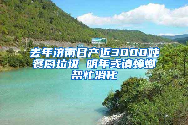 去年济南日产近3000吨餐厨垃圾 明年或请蟑螂帮忙消化