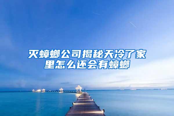 灭蟑螂公司揭秘天冷了家里怎么还会有蟑螂