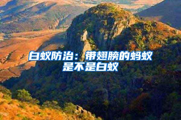 白蚁防治：带翅膀的蚂蚁是不是白蚁
