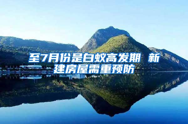 至7月份是白蚁高发期 新建房屋需重预防