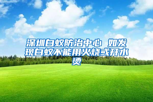 深圳白蚁防治中心 如发现白蚁不能用火烧或开水烫