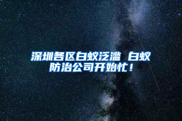 深圳各区白蚁泛滥 白蚁防治公司开始忙！