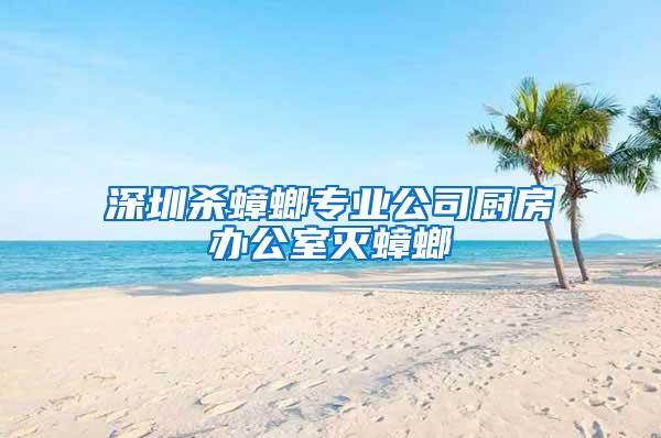 深圳杀蟑螂专业公司厨房办公室灭蟑螂