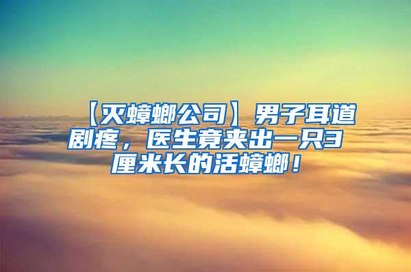 【灭蟑螂公司】男子耳道剧疼，医生竟夹出一只3厘米长的活蟑螂！